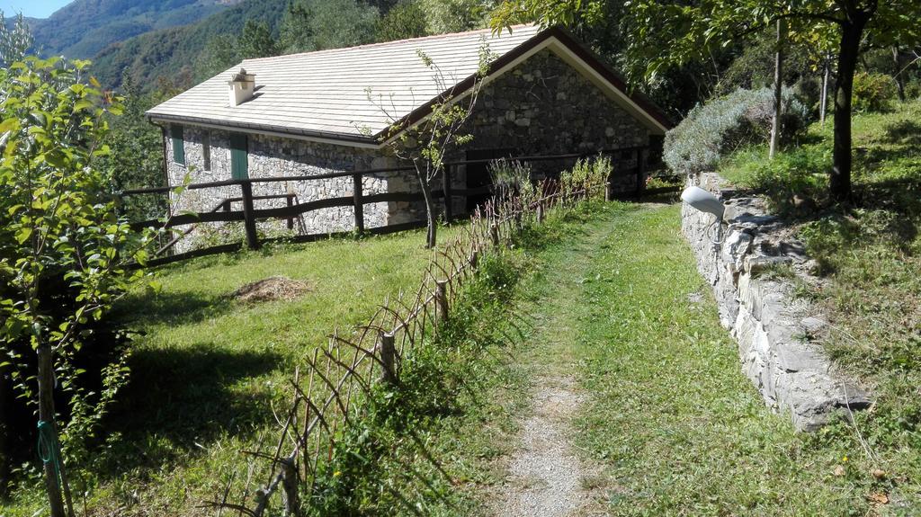 Agriturismo Il Mulino Stibiveri Exterior photo